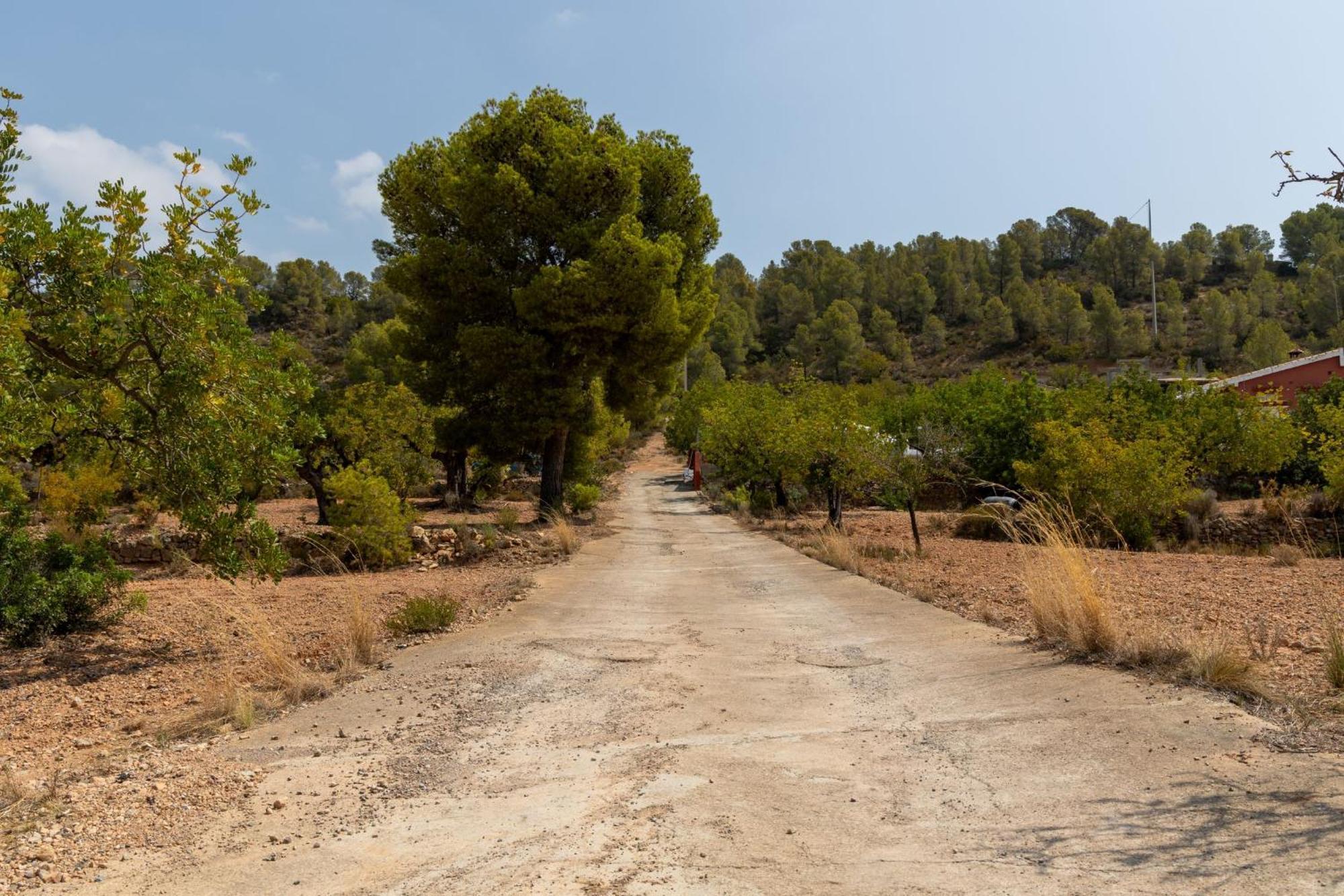 Finca El Escondite Olocau المظهر الخارجي الصورة