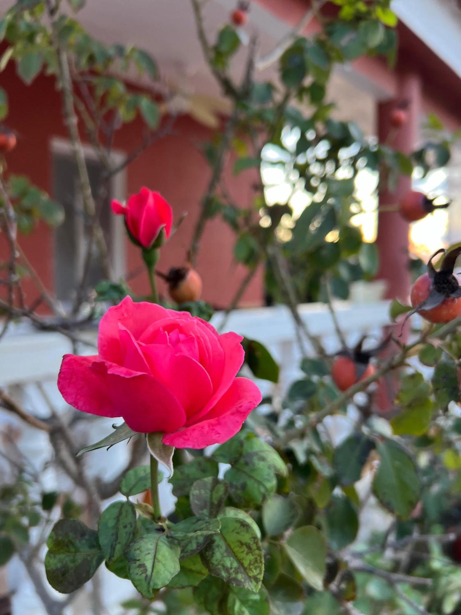 Finca El Escondite Olocau المظهر الخارجي الصورة